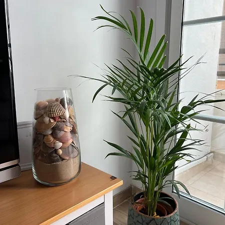 Mi Sueno De Conil Appartement Conil De La Frontera