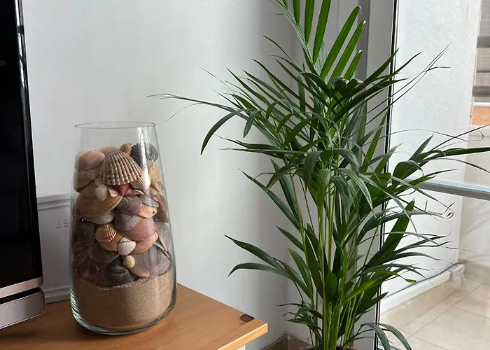 Mi Sueno De Conil Apartmán Conil De La Frontera